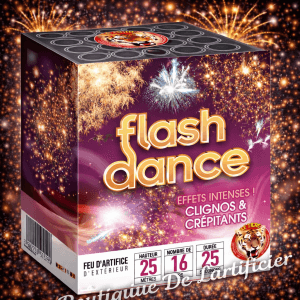 Compact FLASH DANCE – 16 Coups Effets Argentés et Dorés Clignotants - La Boutique De L'artificier