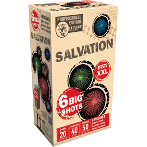 Compact SALVATION – 6 Big Shots Pivoines Multicolores - La Boutique De L'artificier