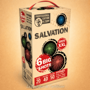 Compact SALVATION – 6 Big Shots Pivoines Multicolores - La Boutique De L'artificier