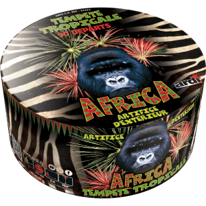 22323 - COMPACT TEMPÊTE TROPICALE