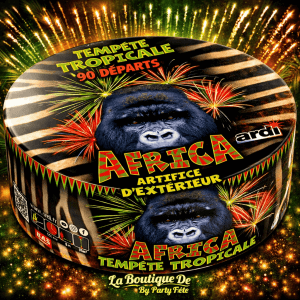 22323 - COMPACT TEMPÊTE TROPICALE