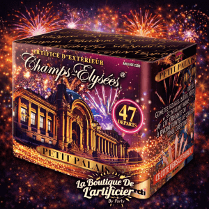 15259 - COMPACT LE PETIT PALAIS