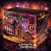 15259 - COMPACT LE PETIT PALAIS