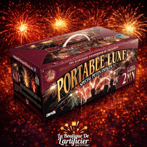 22512 - PORTABLE DE PROXIMITÉ 2MN