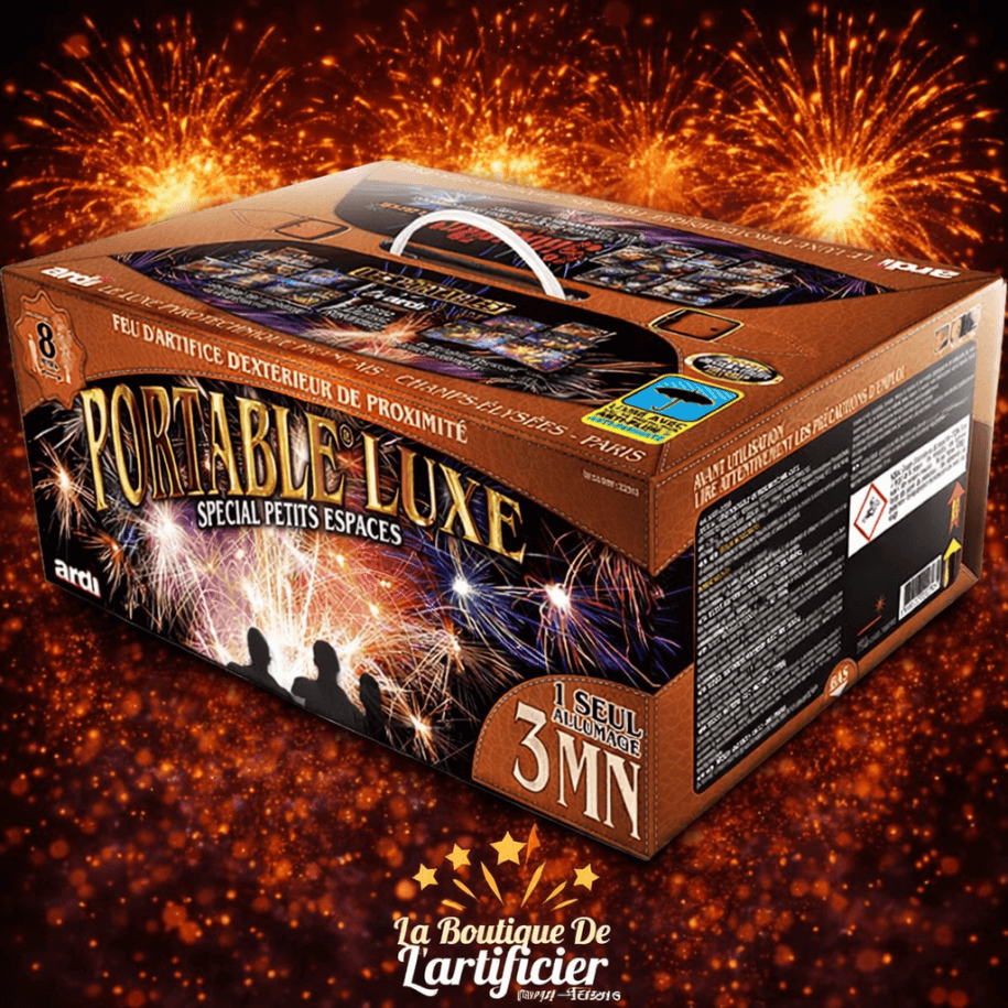 22513 - PORTABLE DE PROXIMITÉ 3MN