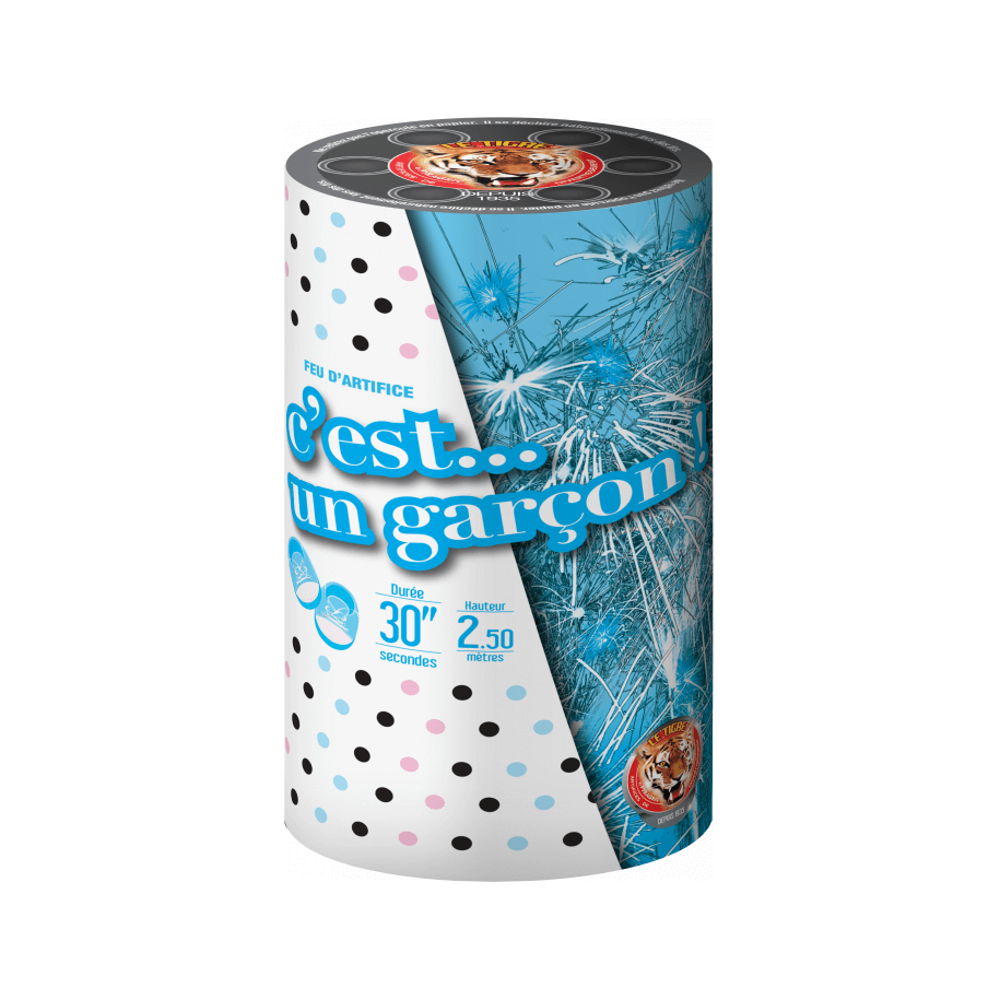 P167304 - Baby Shower Bleu – Fontaine de Révélation Sexe Bébé Garçon F2