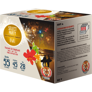 P150918 - Feu d’artifice Hawaï 28 coups – 55 sec – Batterie compacte effets intenses F2