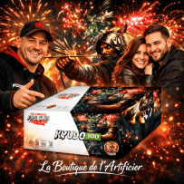 P167031 - Feu automatique Fire Club Kyudo 100 coups – Compact explosif éventail or & argent F3