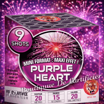 P154467 - Compact PURPLE HEART – 9 Shots Bouquets Pourpres et Paillettes Argentées Clignotantes